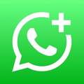 WhatsApp Business