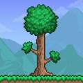 Terraria